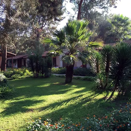 Denizati Village