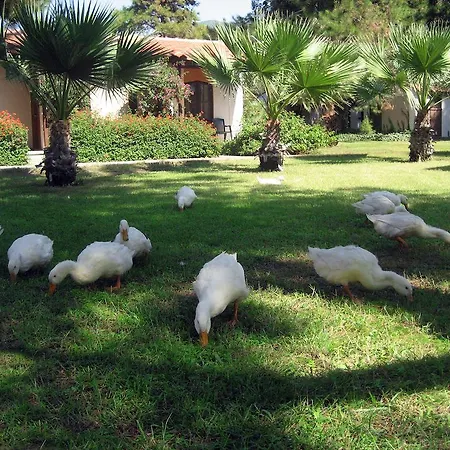 Denizati Village Resort 4*