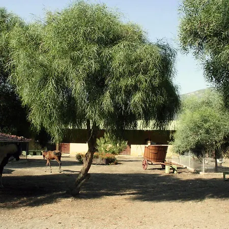 Denizati Village