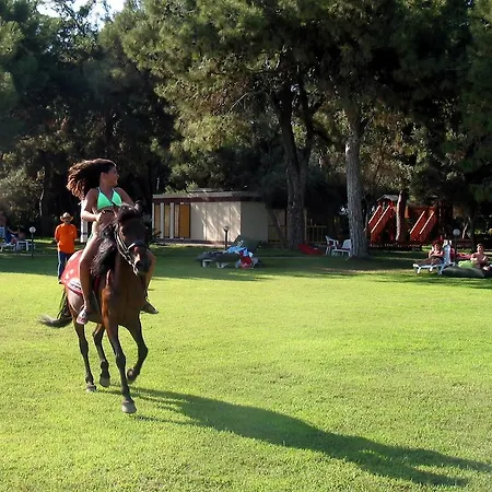 Θέρετρο Denizati Village