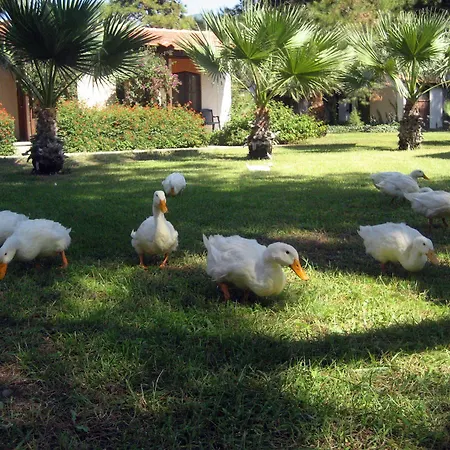 Denizati Village 4* Gümüldür