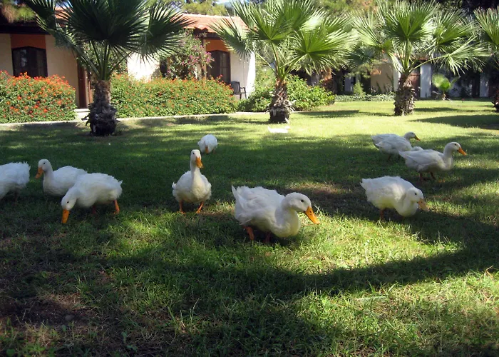 Complex Denizati Village Gümüldür