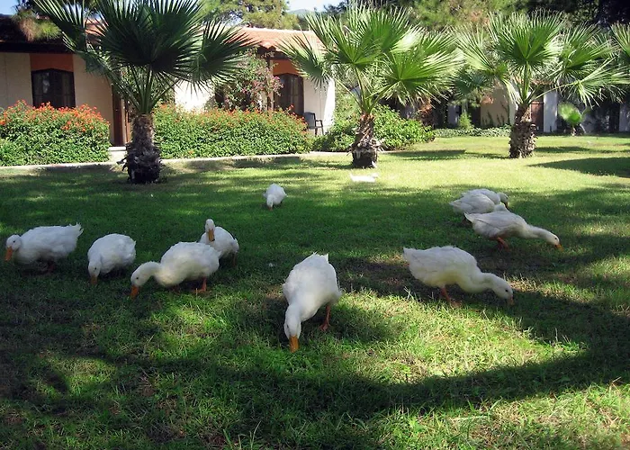 Denizati Village Complex 4*